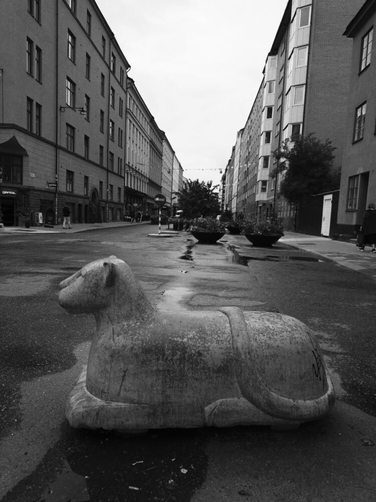 Svartvit bild av ett farthinder på södermalm